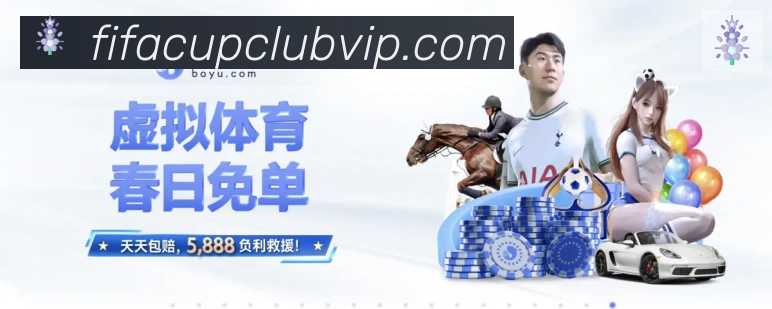 未来规划