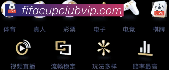 奖项4